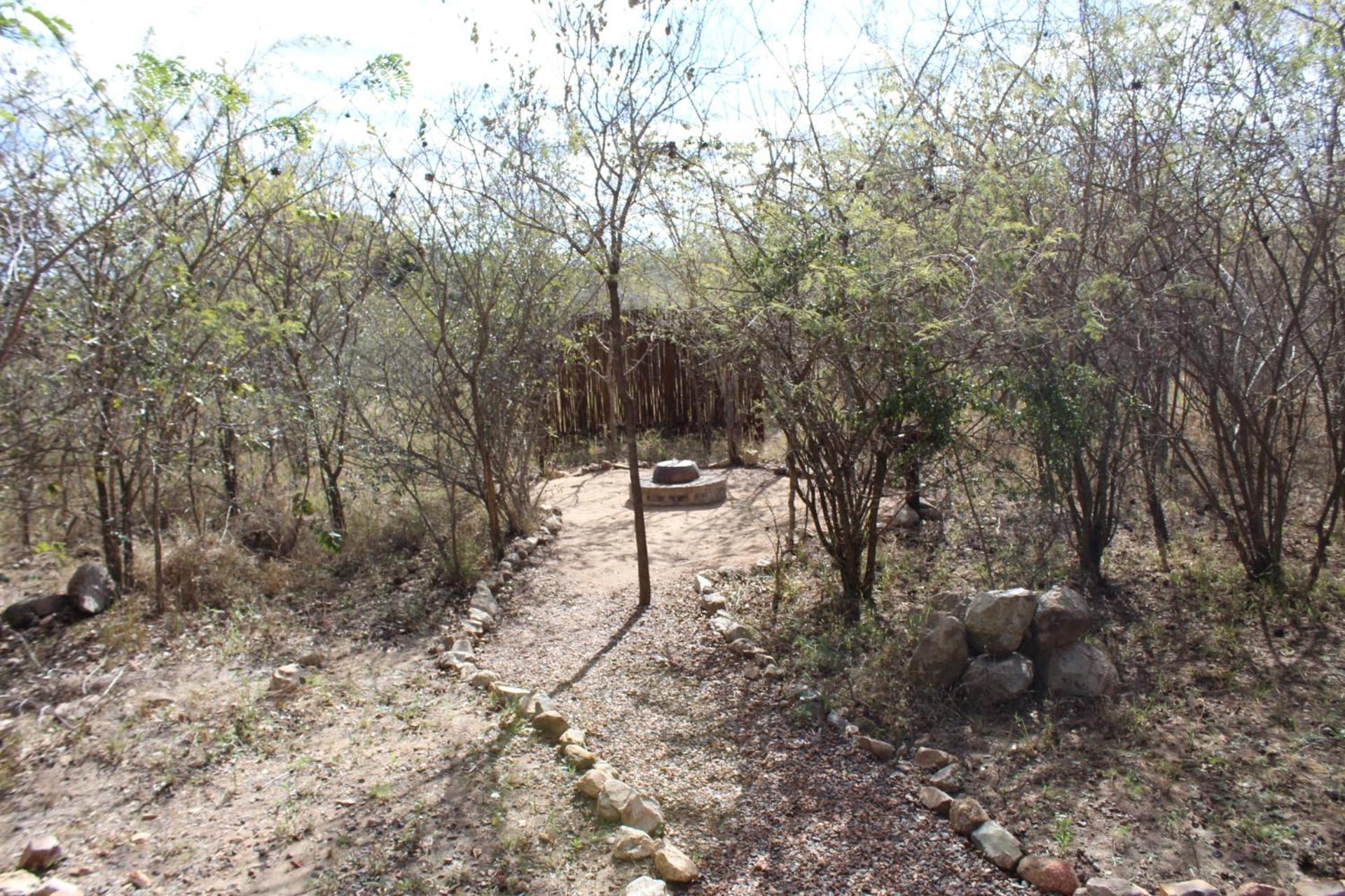 Mjejane Bush Camp By Dream Resorts Hectorspruit Exterior photo